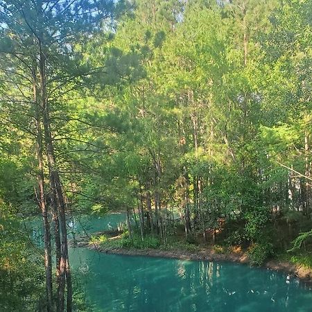 Waterfront Treehouse In A Magical Forest Waller المظهر الخارجي الصورة