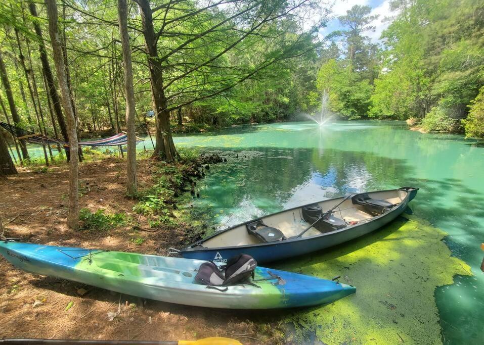 Waterfront Treehouse In A Magical Forest Waller المظهر الخارجي الصورة